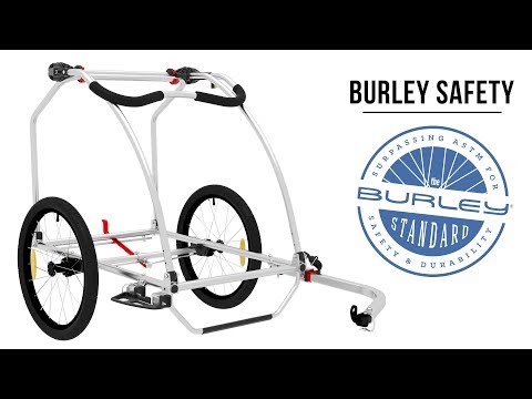 Der neue Burley D'Lite X Anhänger im Test 2024