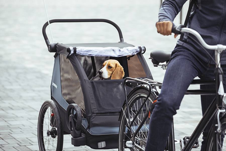Thule Courier thule courier hundetransport