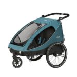 hauck-dryk-duo-buggy